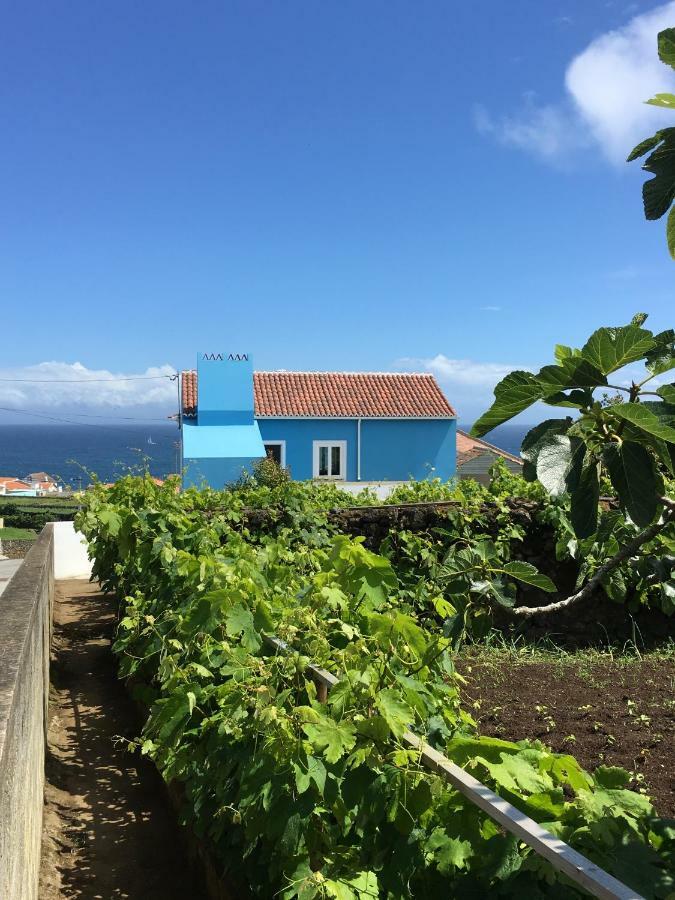 Willa Casa Do Vizinho Porto Judeu Zewnętrze zdjęcie